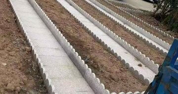 漳州芝麻白花边石