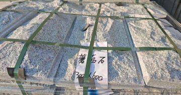 漳州芝麻白蘑菇石，自然面