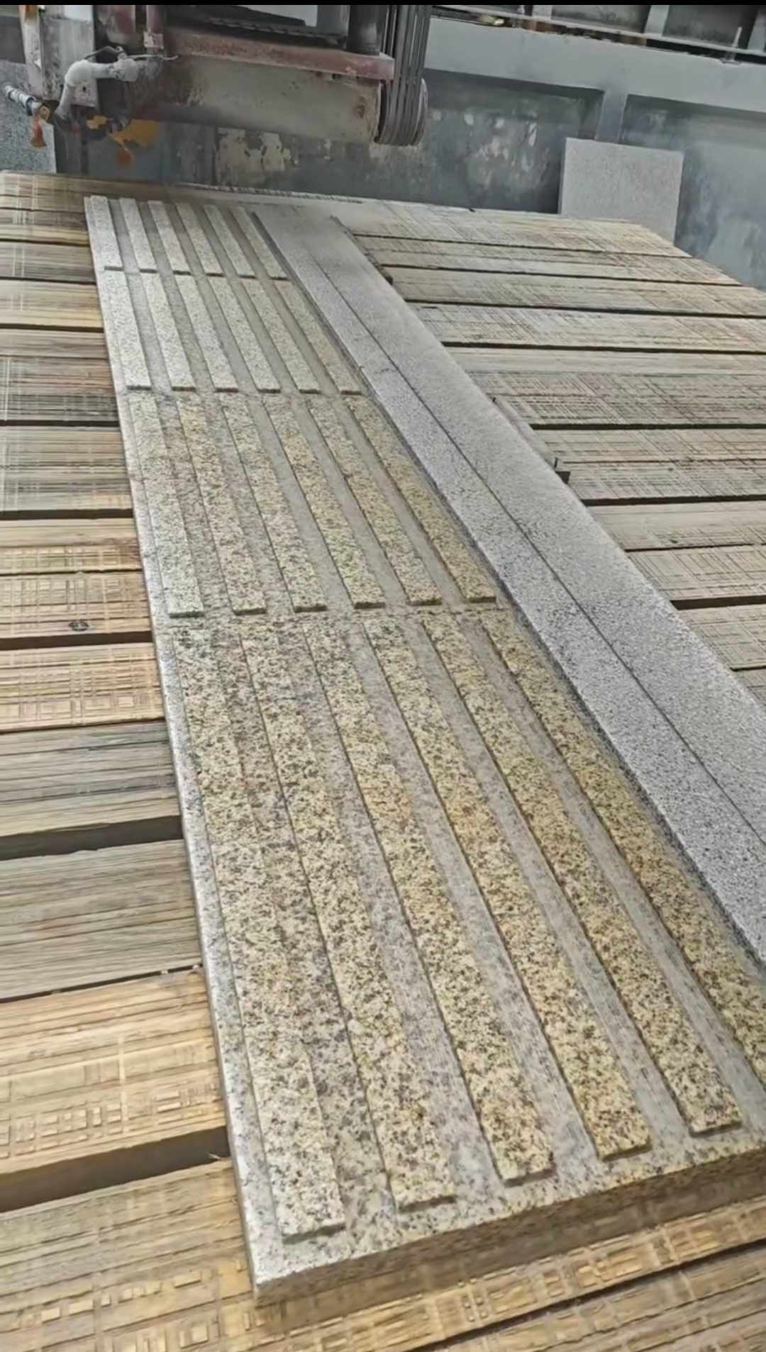 漳州黄金麻盲道石 盲条